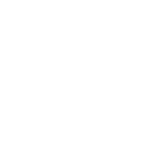 PCIe Gen5-icon