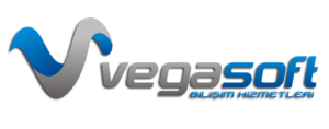 vegasoft_ana_logo